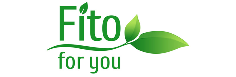 Задача: разработать логотип для нового интернет-магазина Fito4you по продаже товаров для здоровья