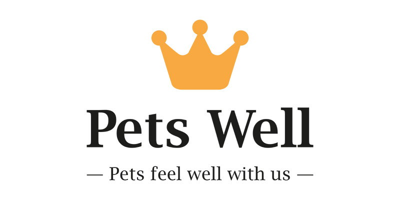 Задача: разработать логотип для европейского интернет-магазина Pets Well по продаже товаров для домашних животных